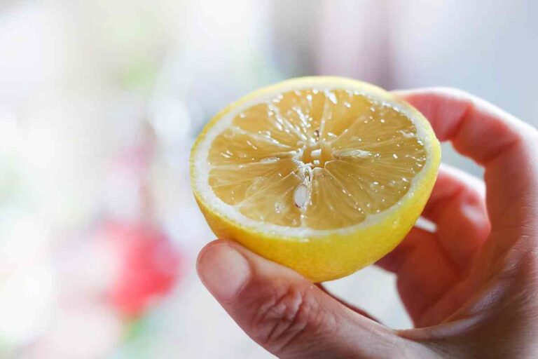 limone tagliato a metà nelle mani