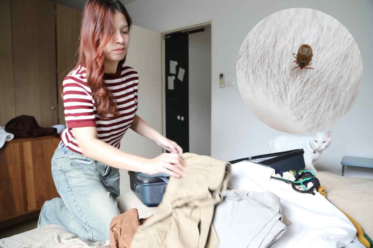 donna che elimina pulci in casa