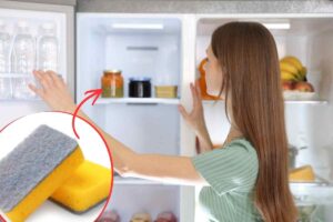 spugnetta per piatti nel freezer