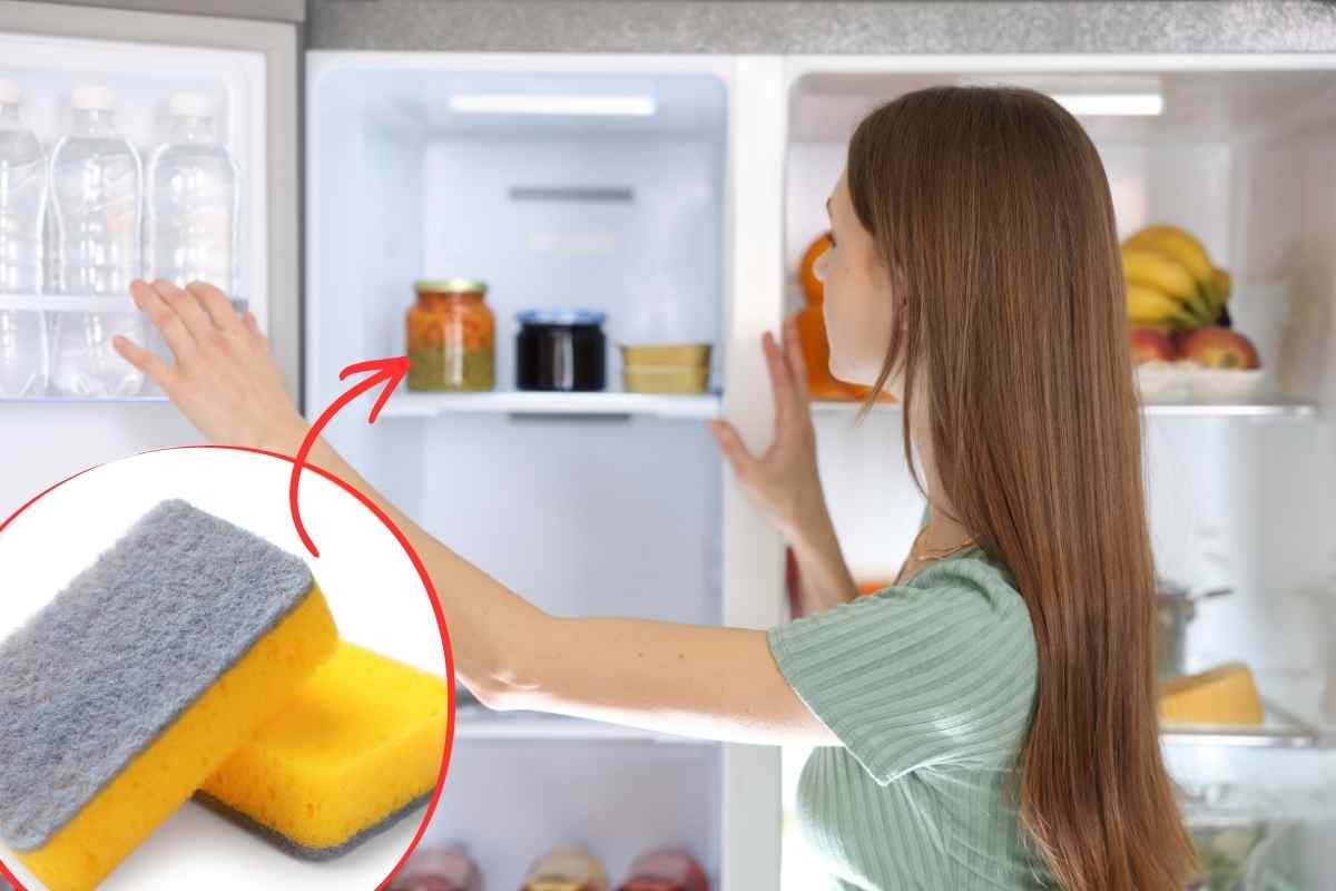 spugnetta per piatti nel freezer