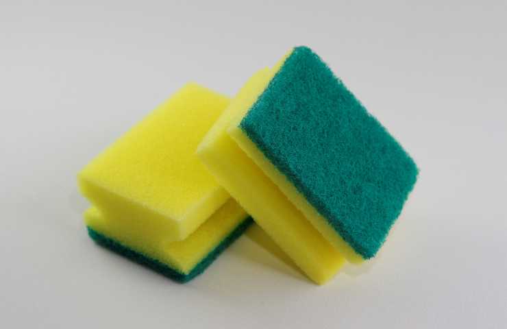 due spugnette per piatti