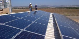 noleggio tetti di impianto di allevamento per fotovoltaico